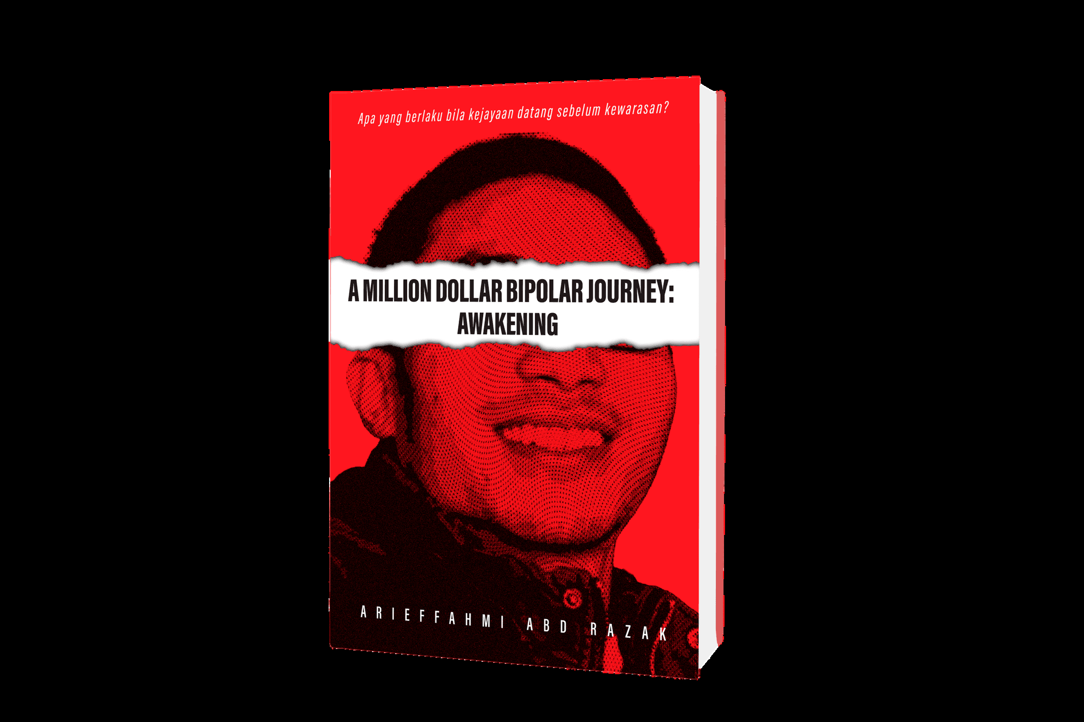 Kulit buku A Million Dollar Bipolar Journey: Awakening